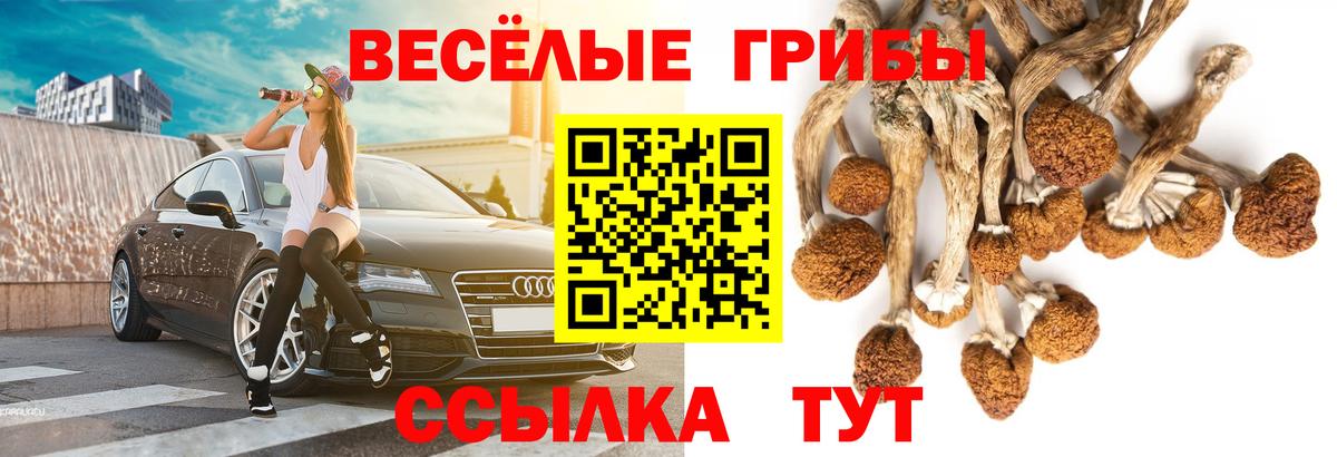 Псилоцибиновые грибы ЛСД  Вход с VPN  цены наркотик  Новоалександровск  Псилоцибиновые грибы мухоморы 